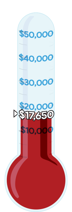 Thermometer showing donation progress
