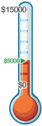 Thermometer showing donation progress