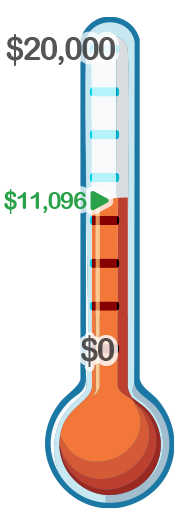 Thermometer showing donation progress